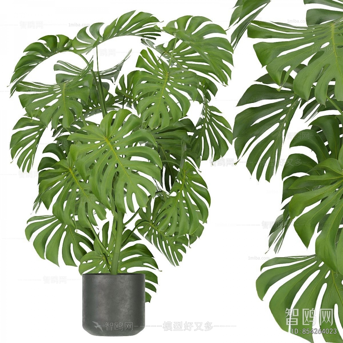 Modern Ground Green Plant Potted Plants