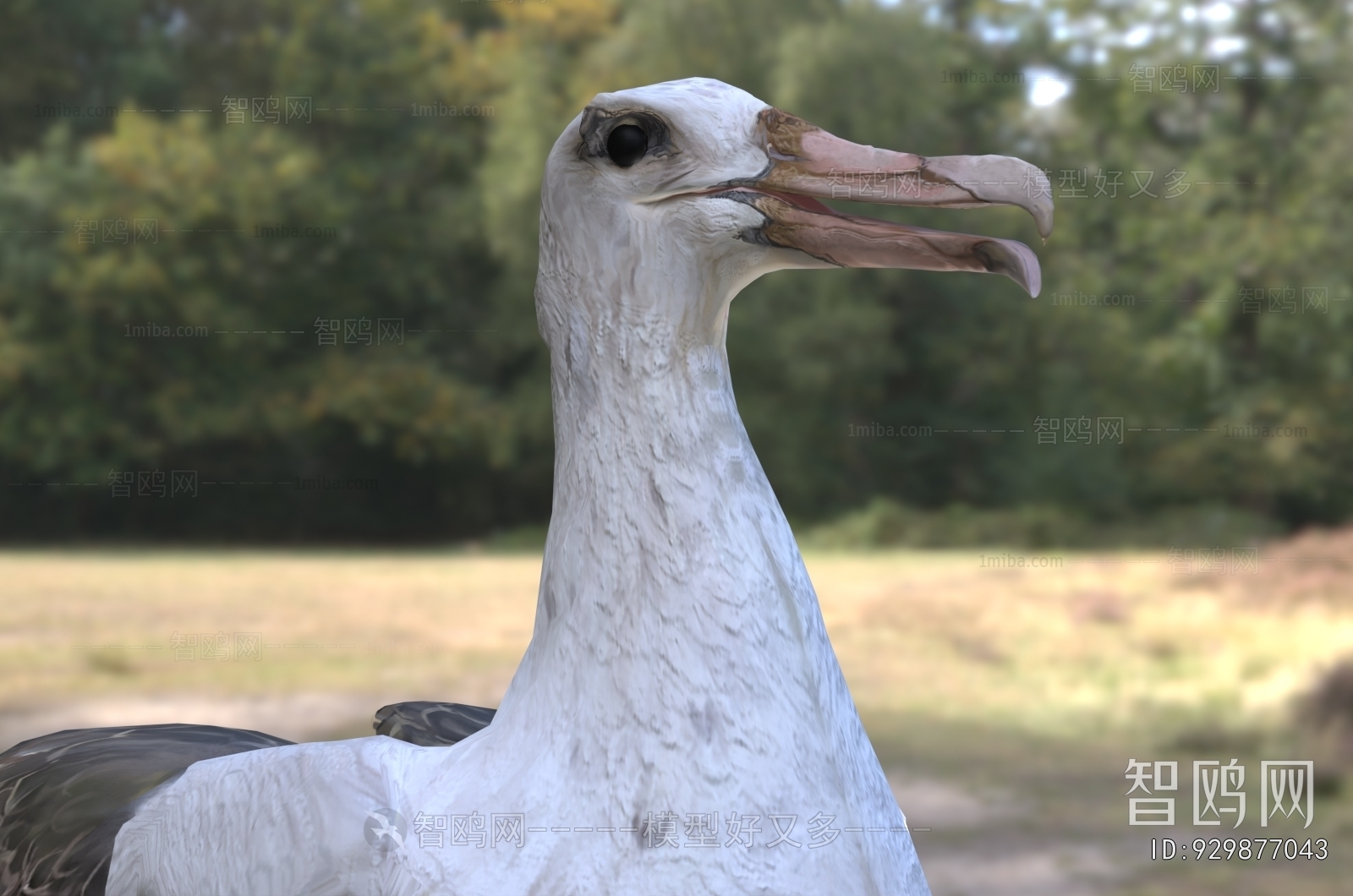 Modern Flying Animals