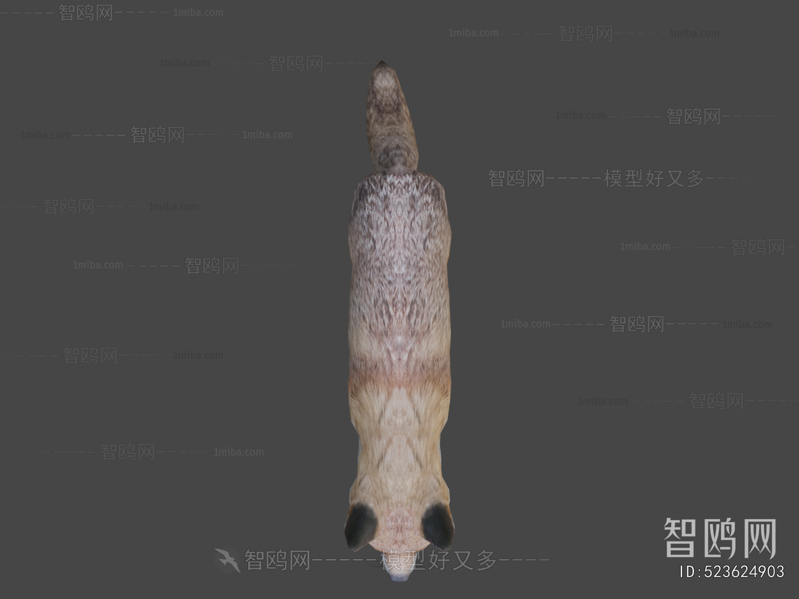 Modern Mammal
