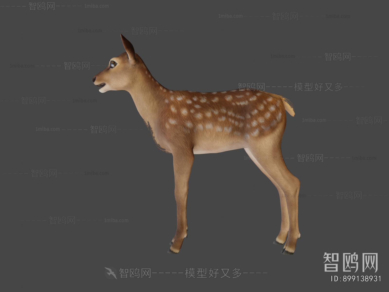 Modern Mammal