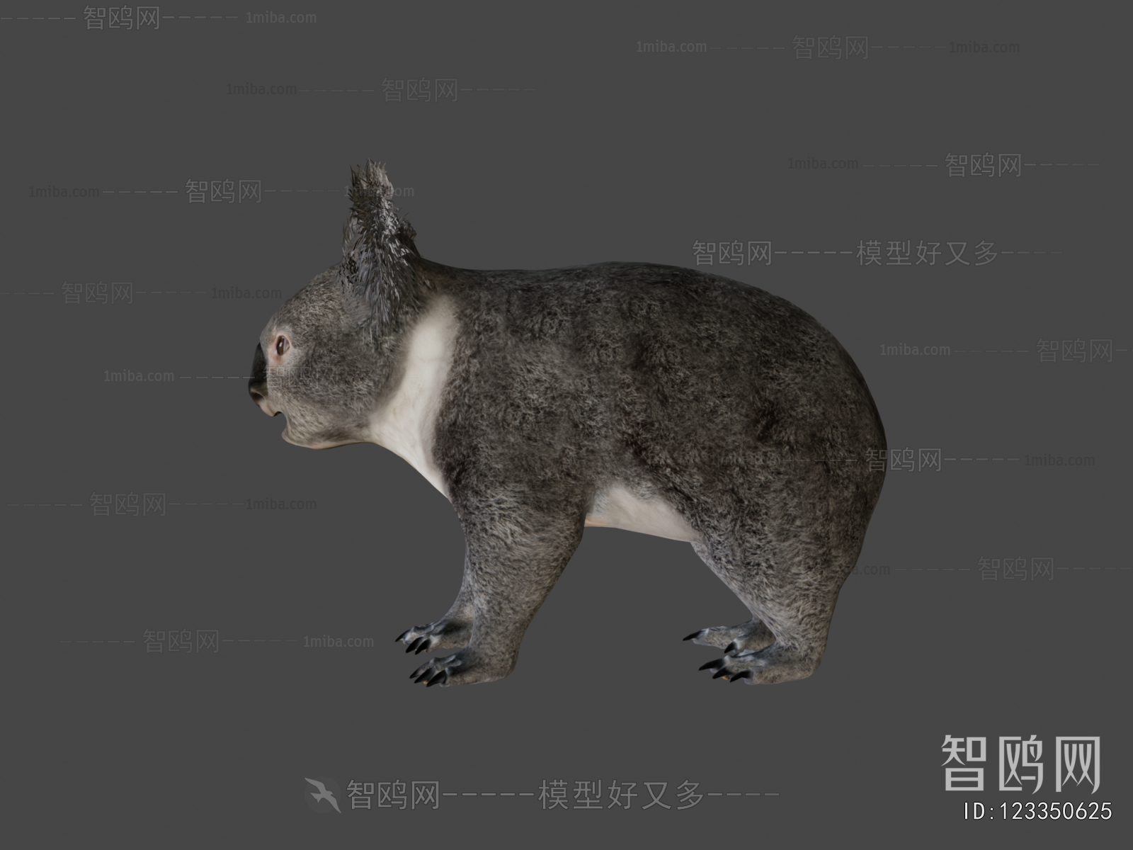 Modern Mammal