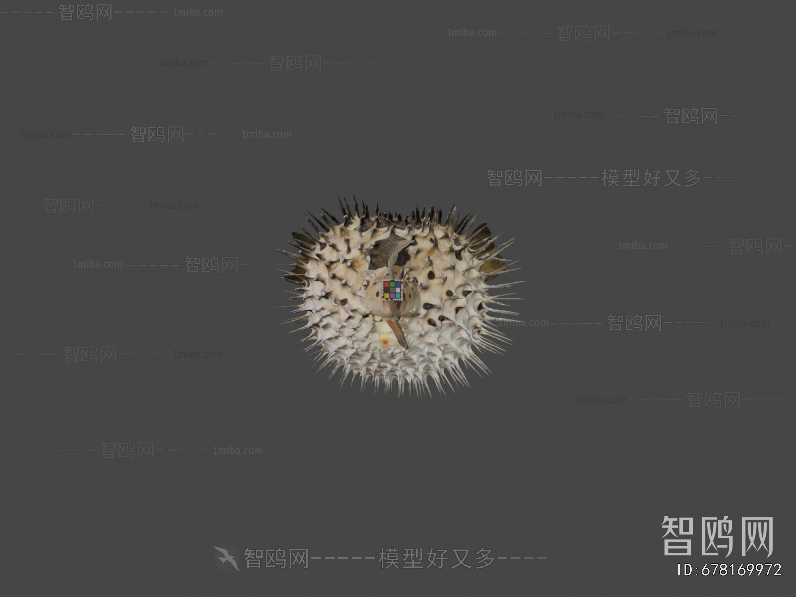 Modern Animal