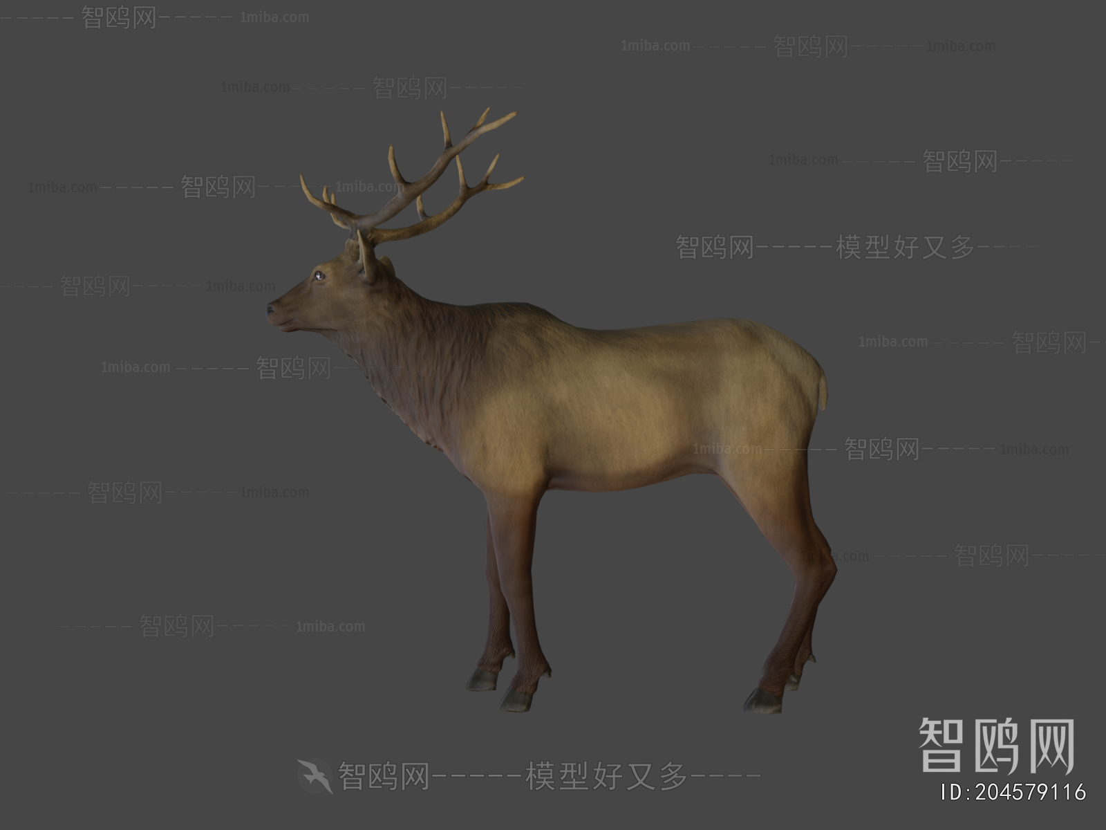 Modern Animal
