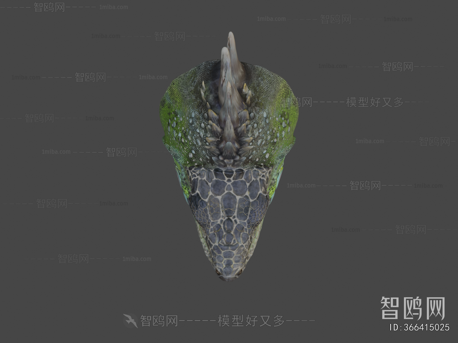 Modern Animal