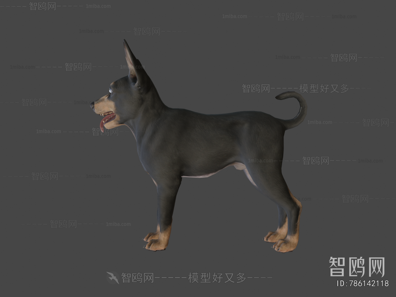 Modern Animal Dog