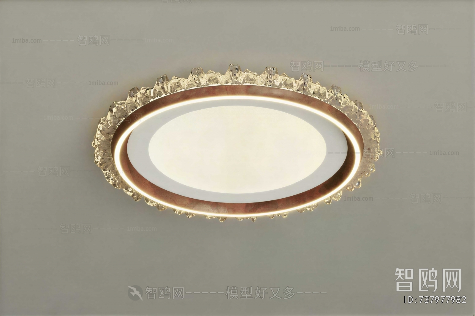 Modern Ceiling Ceiling Lamp