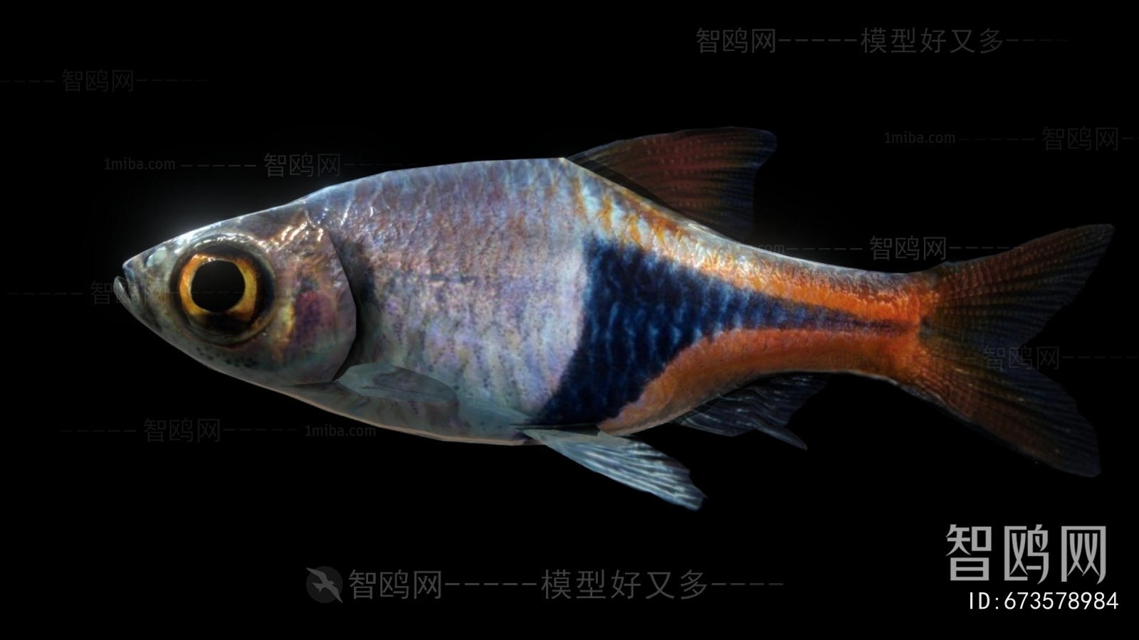 Modern Aquatic Animals