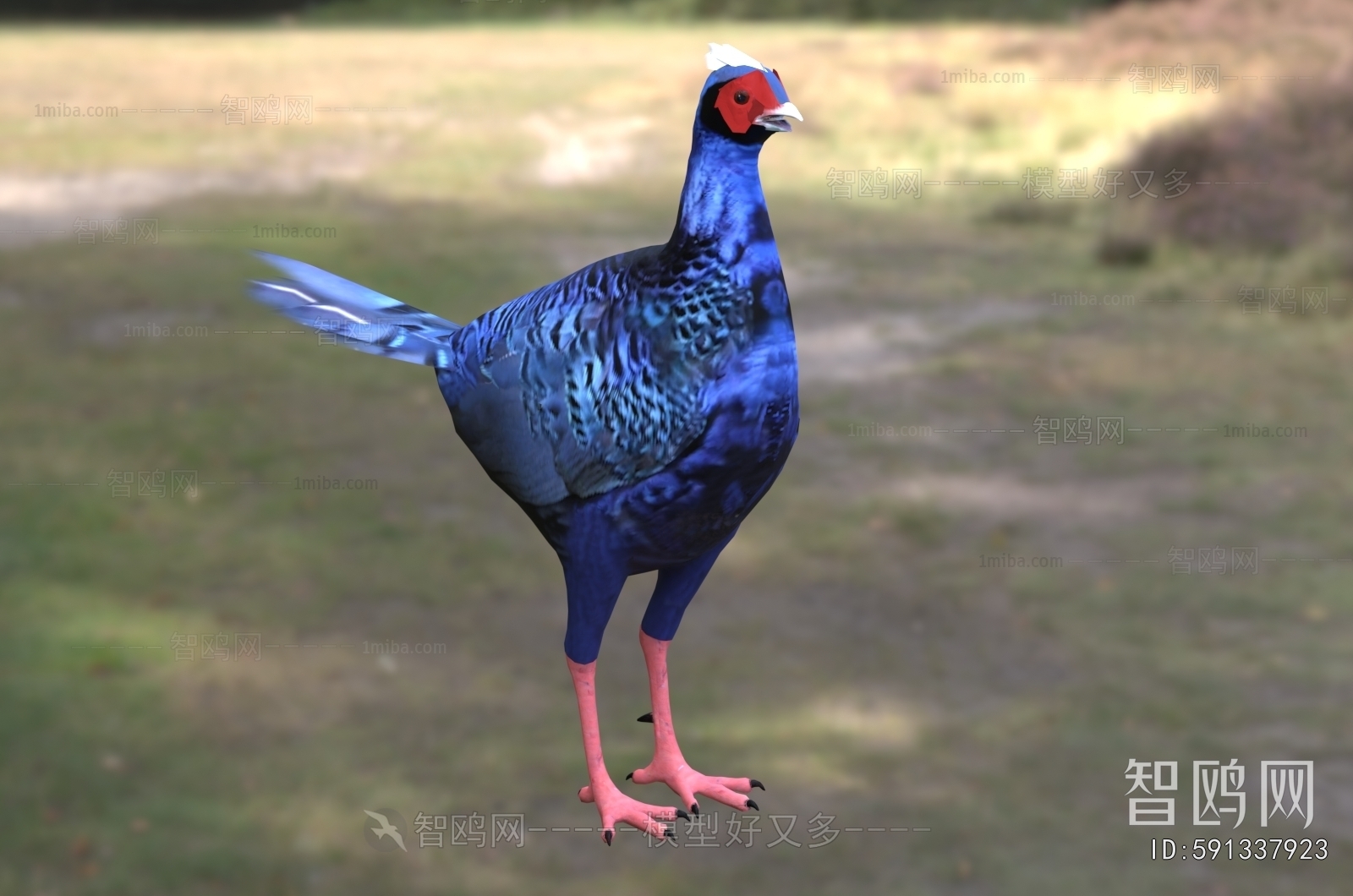 Modern Flying Animals