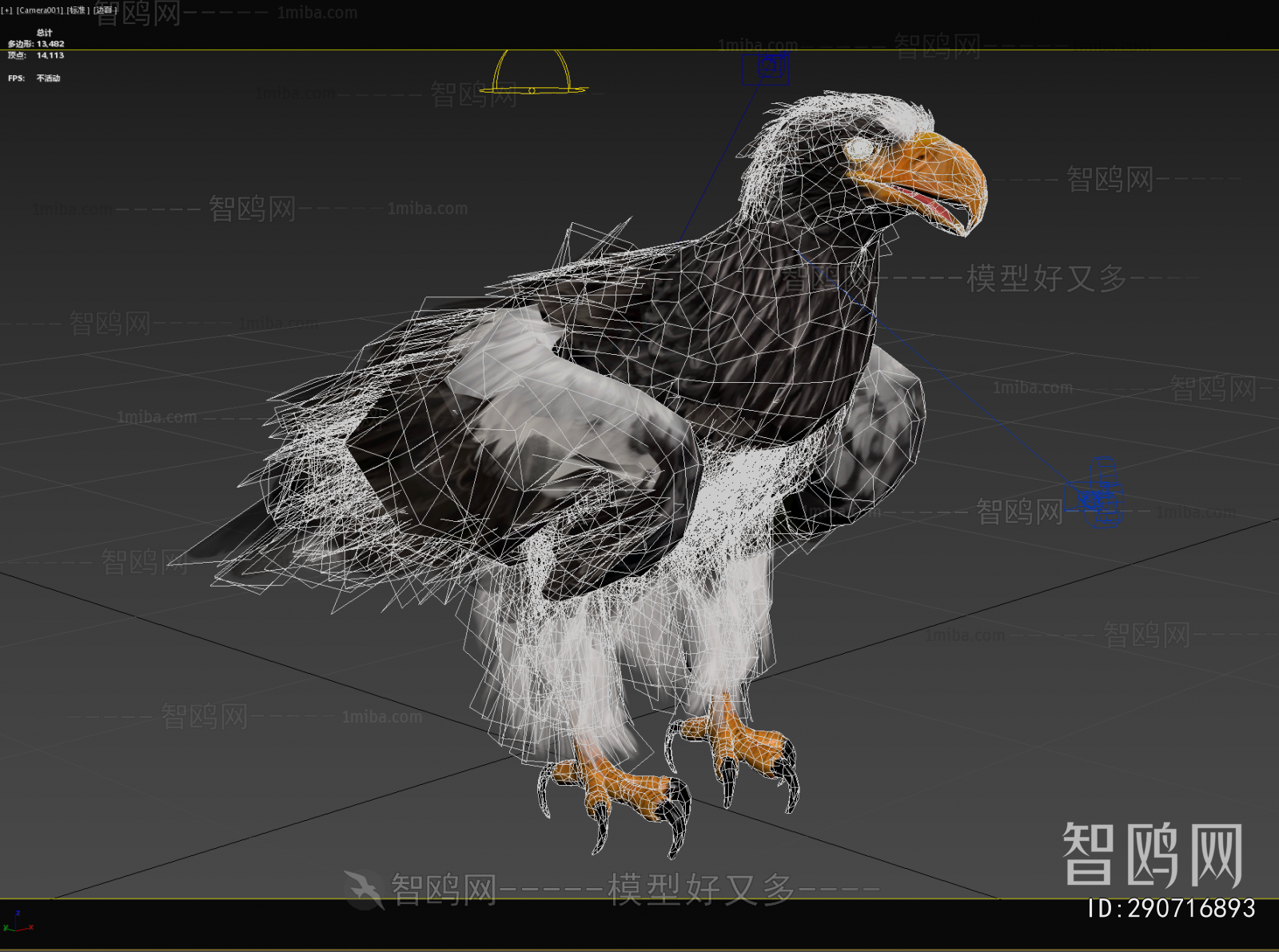 Modern Flying Animals