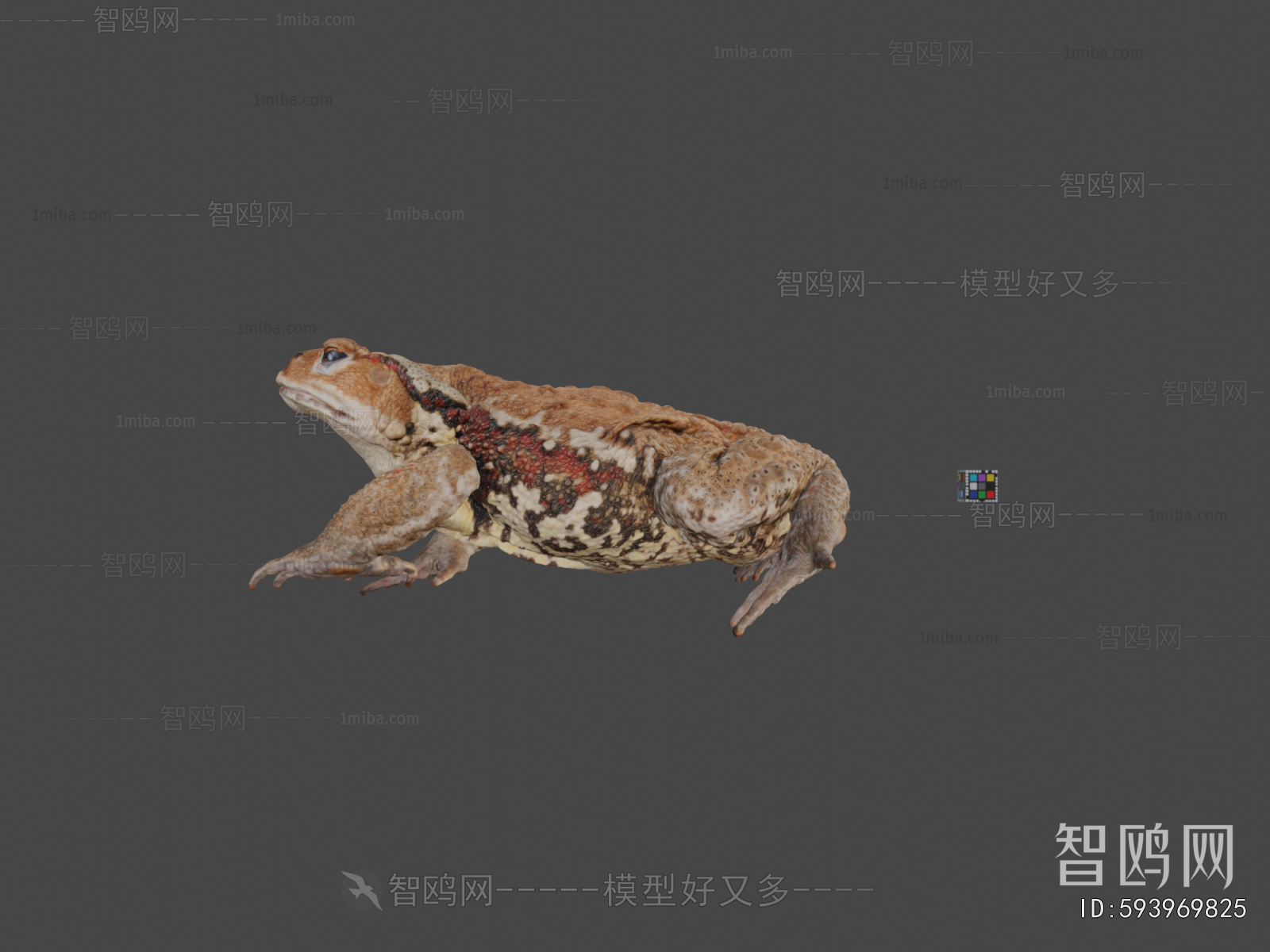Modern Animal