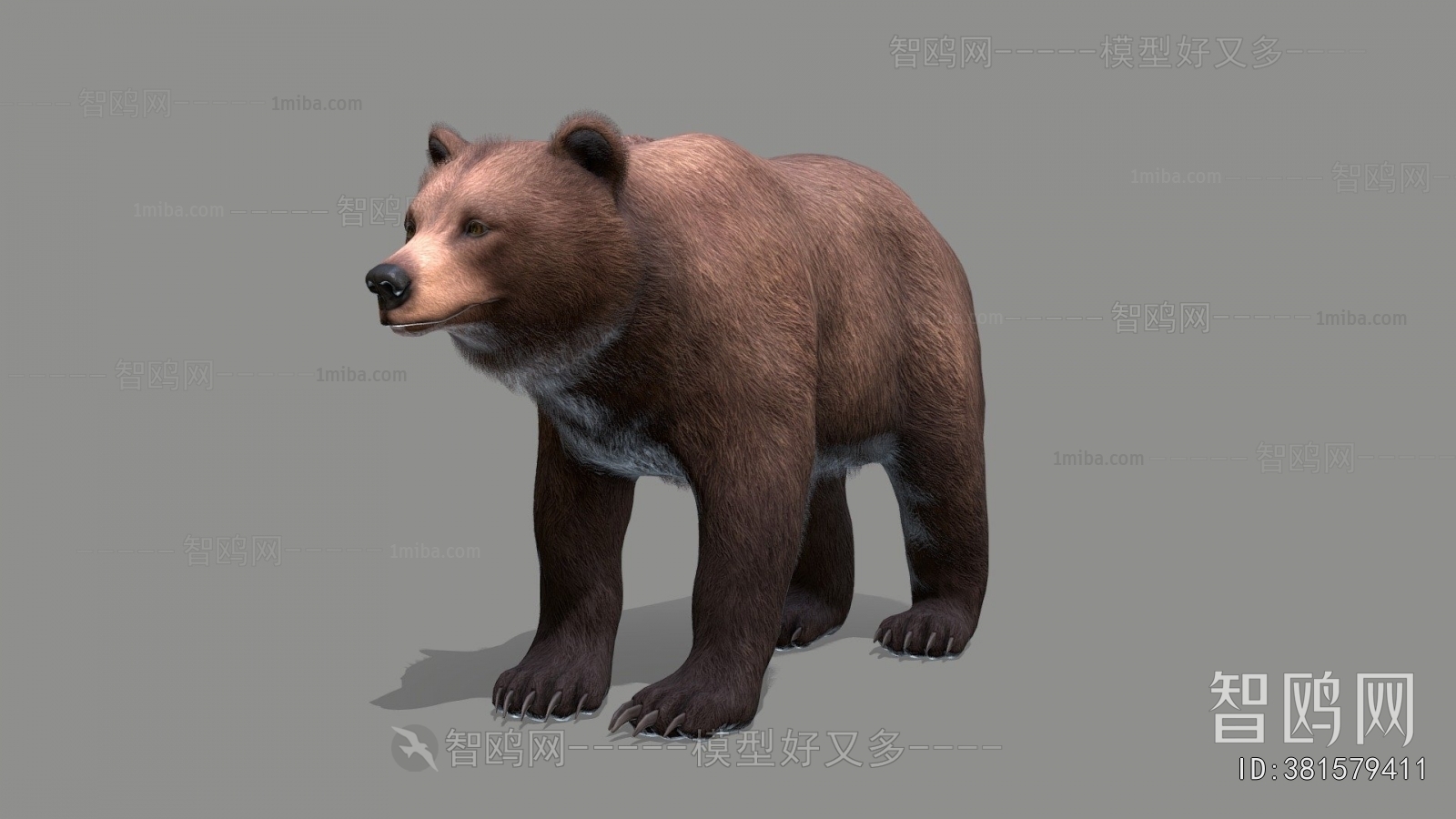 Modern Mammal