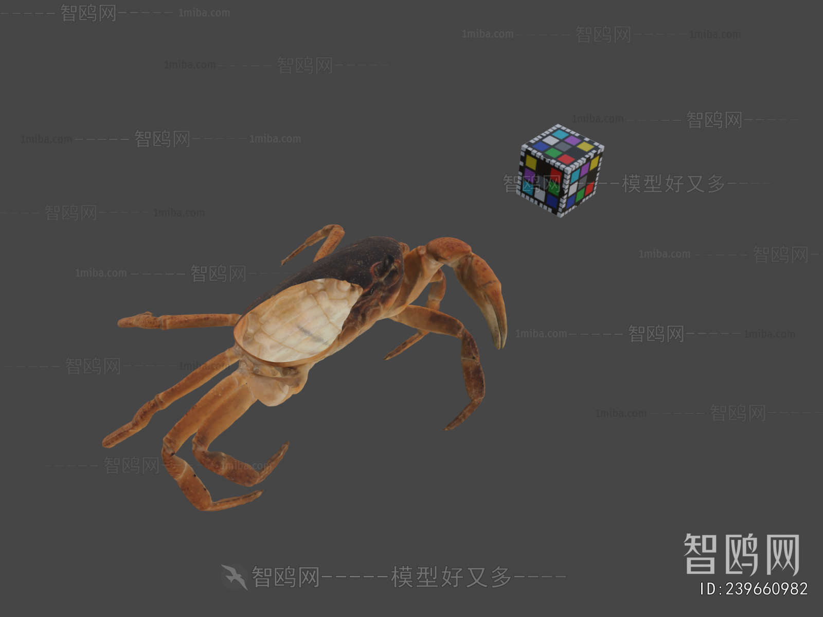 Modern Aquatic Animals
