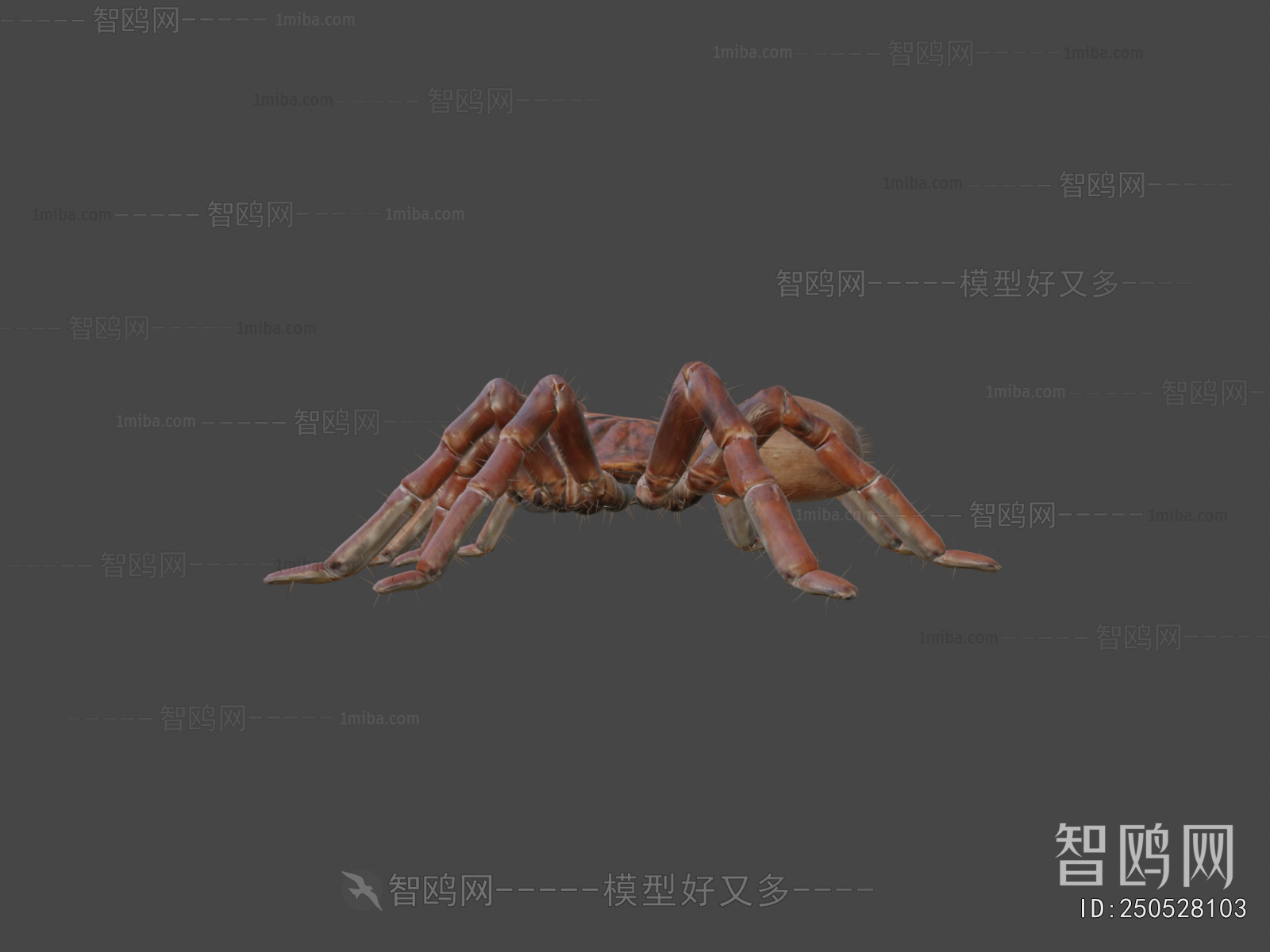 Modern Other Animals