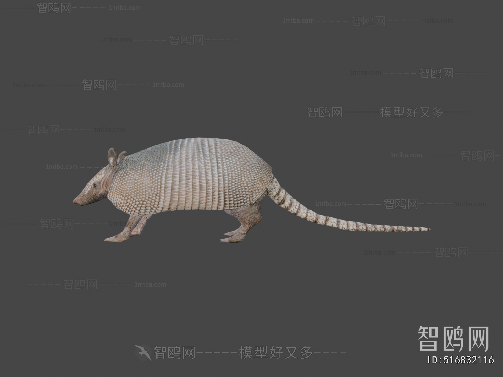 Modern Reptile