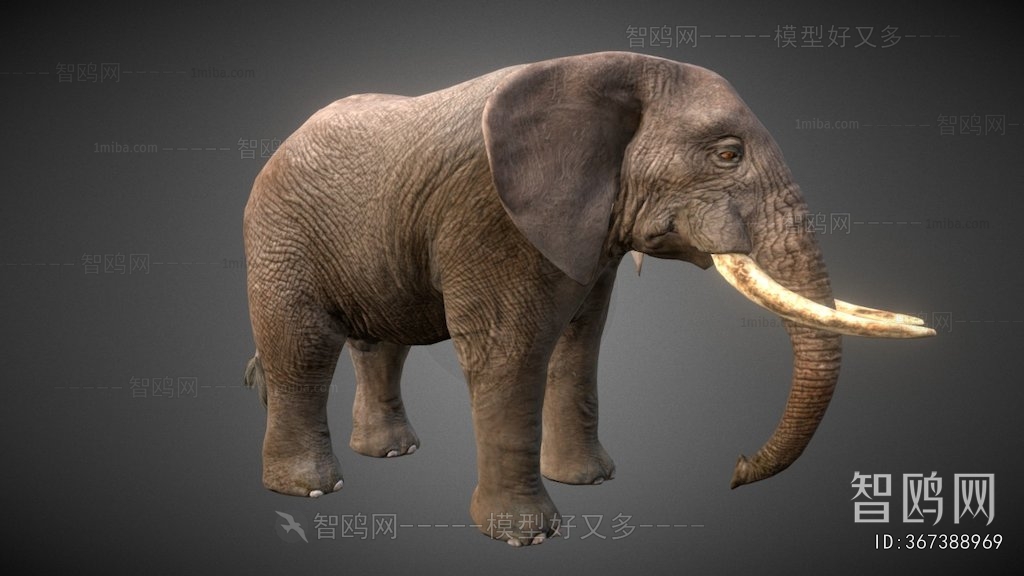 Modern Other Animals