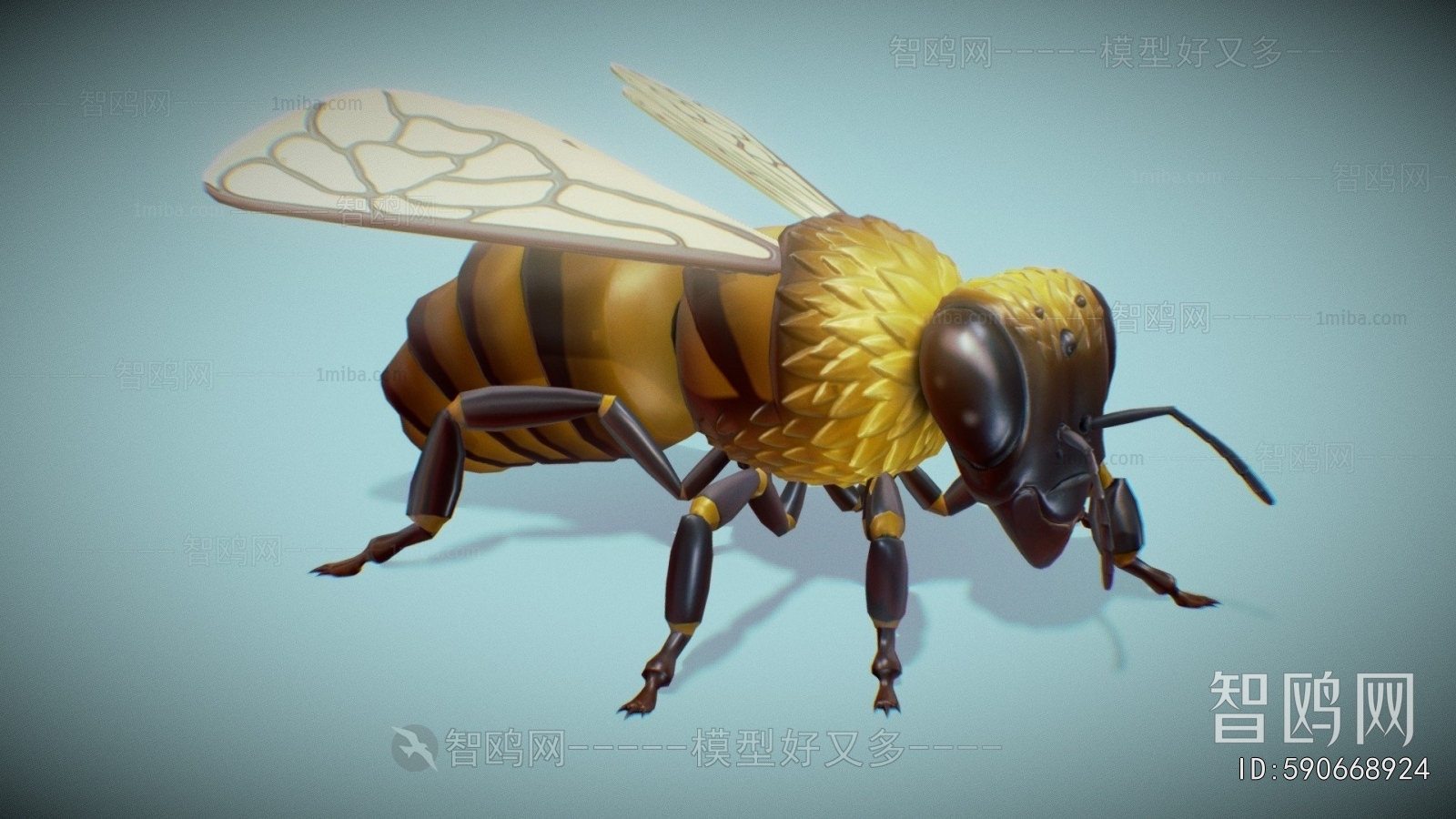 Modern Animal