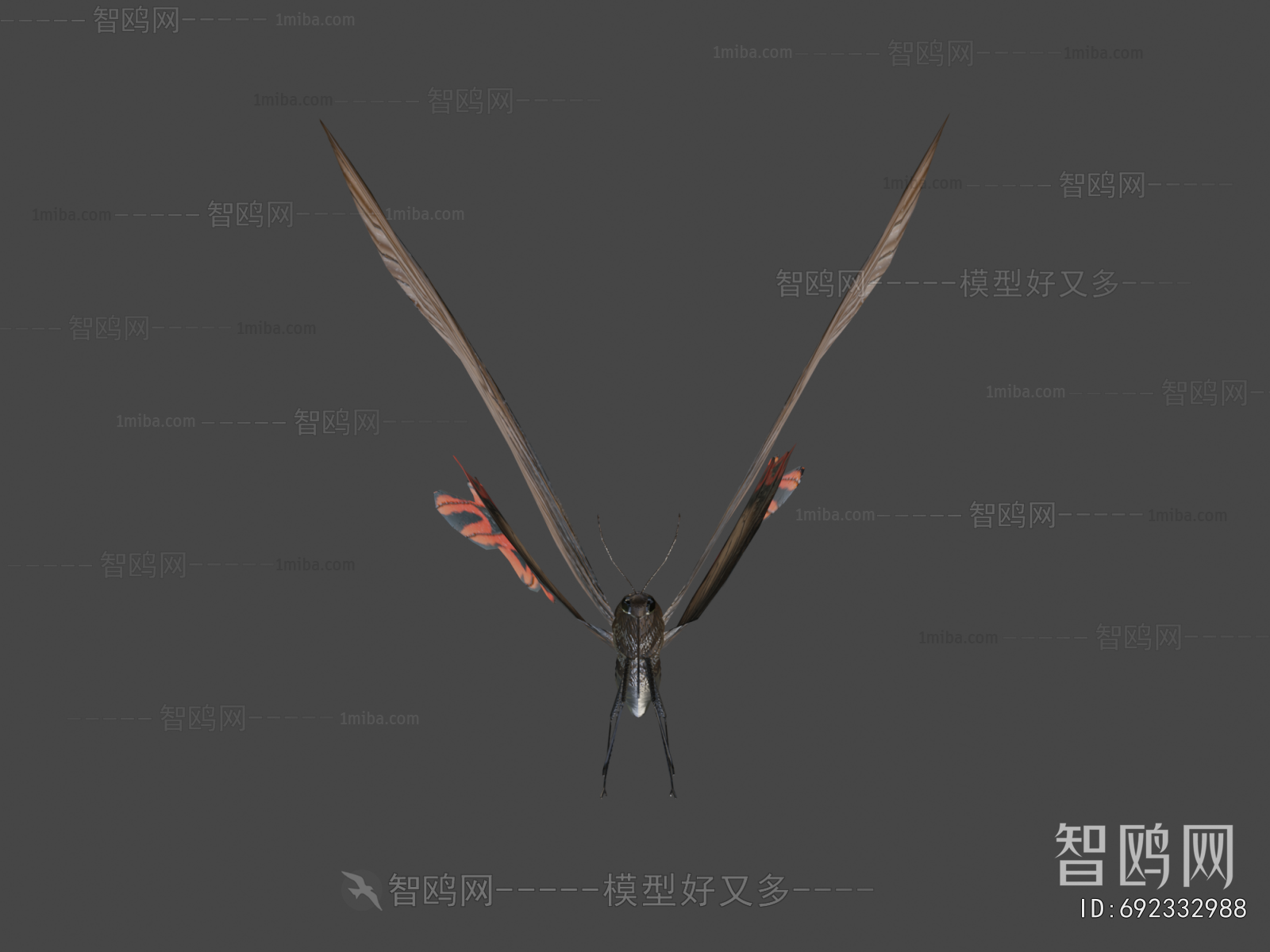 Modern Flying Animals