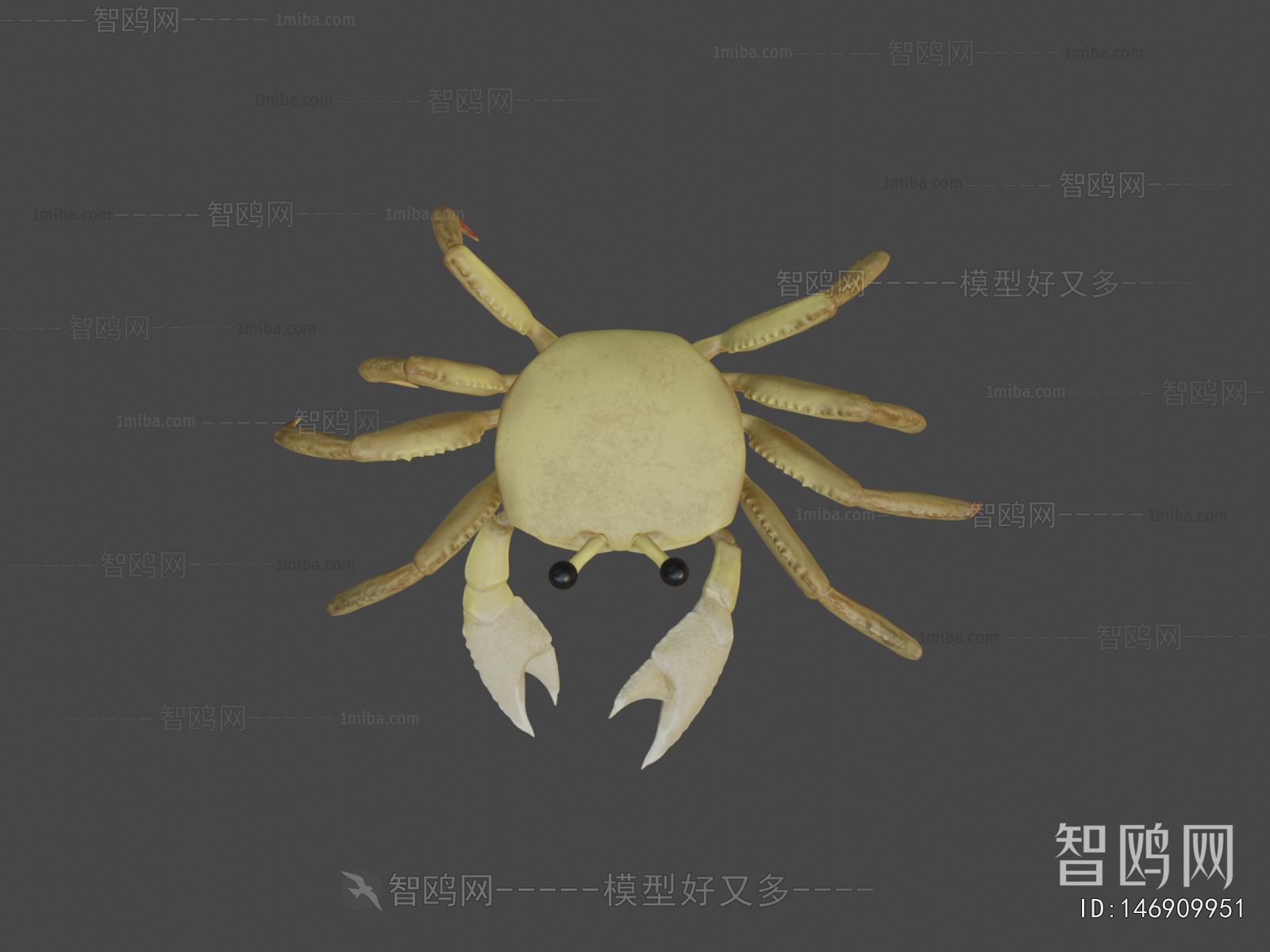 Modern Aquatic Animals