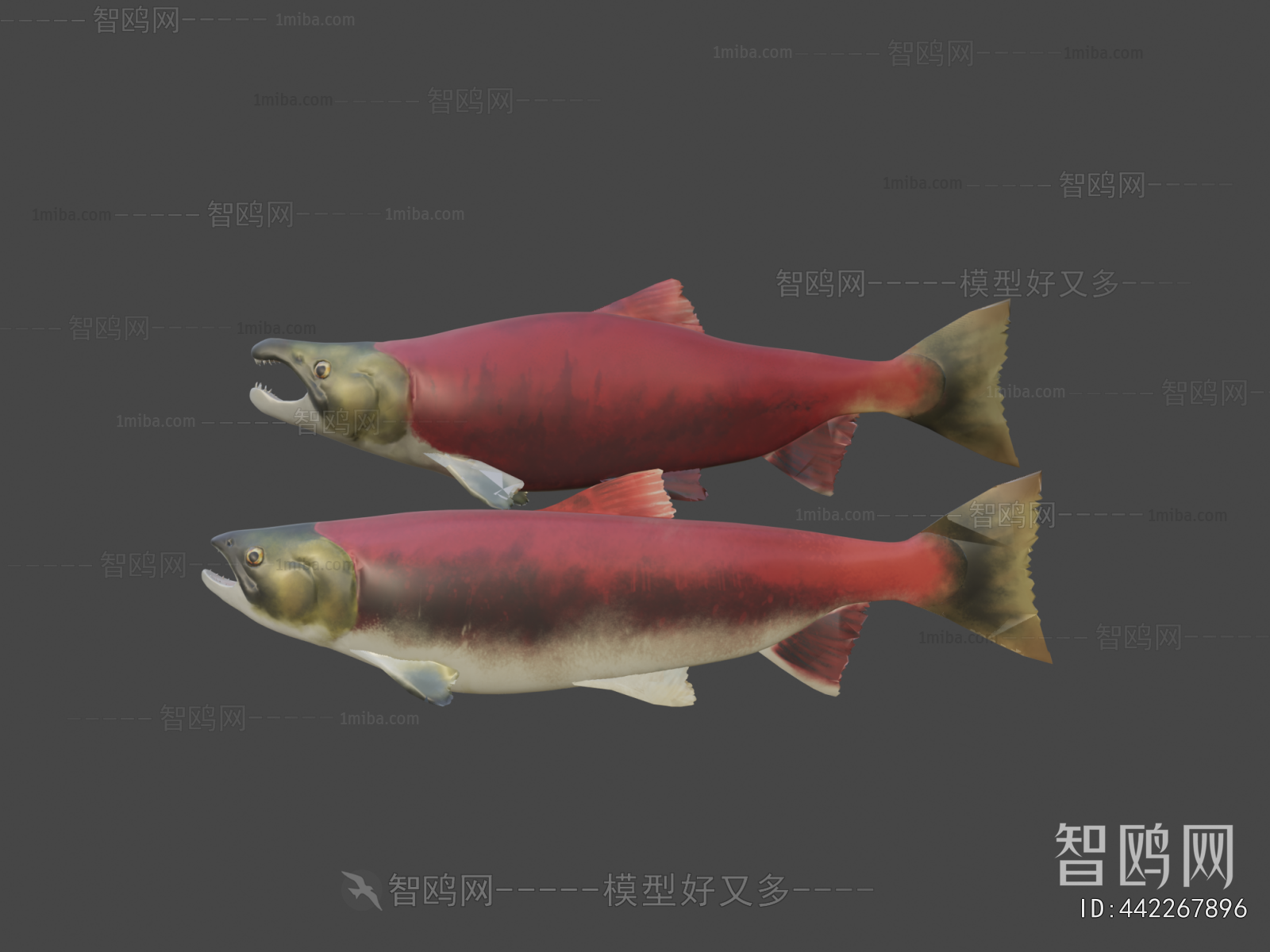 Modern Animal
