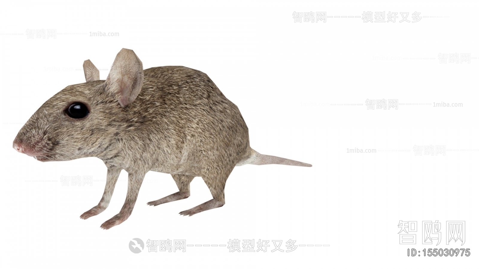 Modern Animal