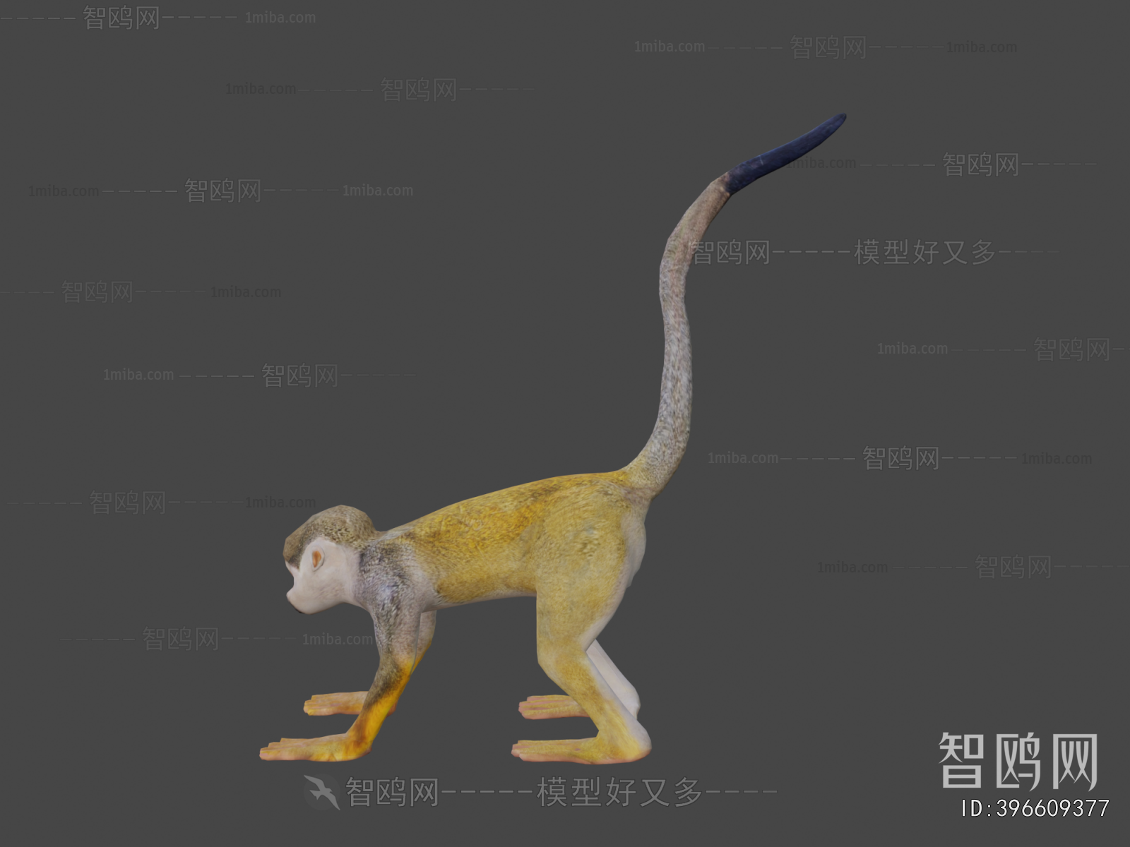 Modern Animal