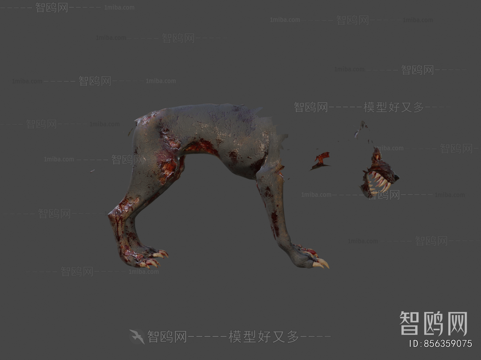 Modern Animal