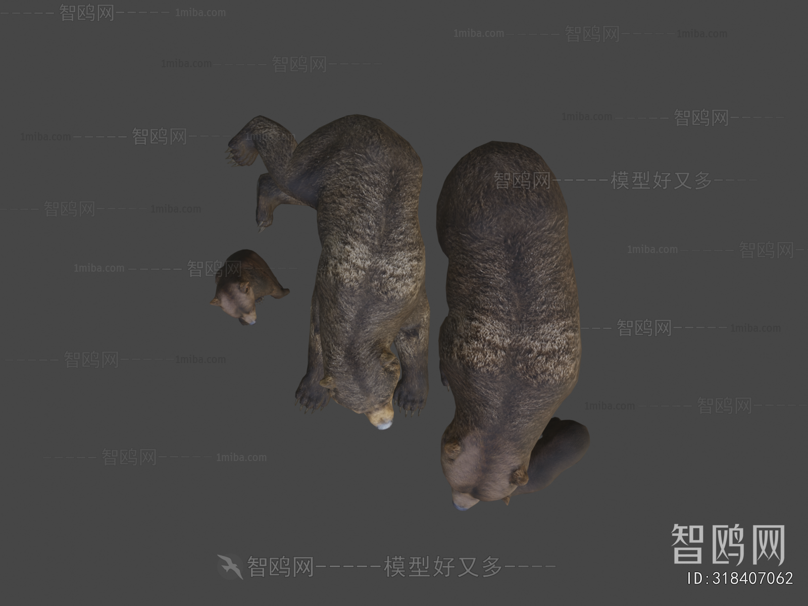 Modern Mammal
