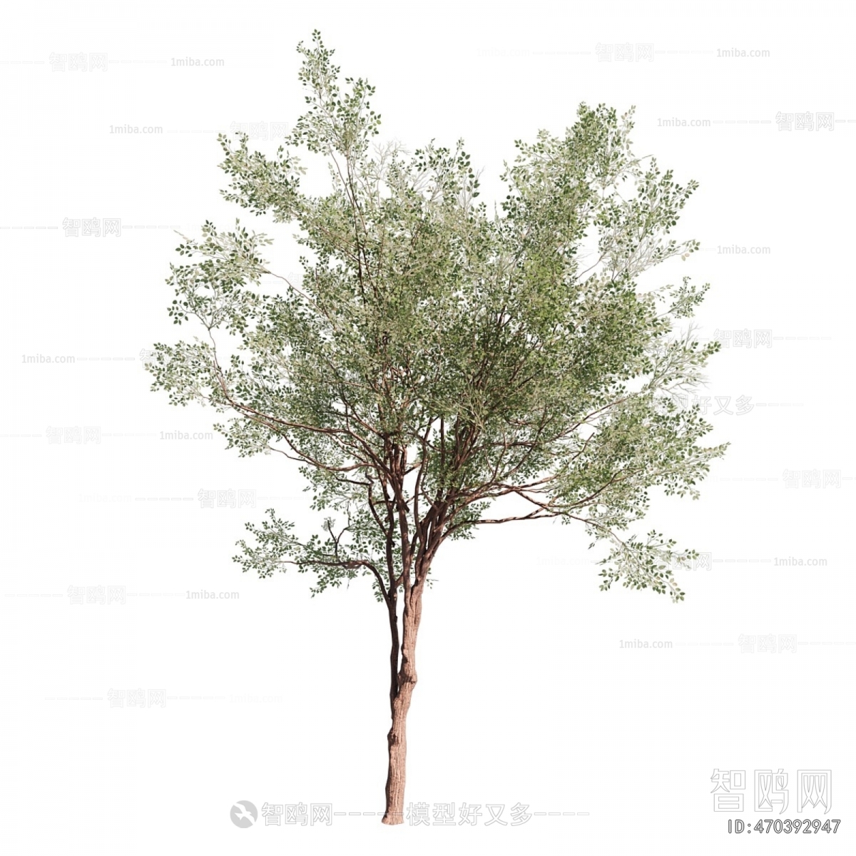 Modern Tree