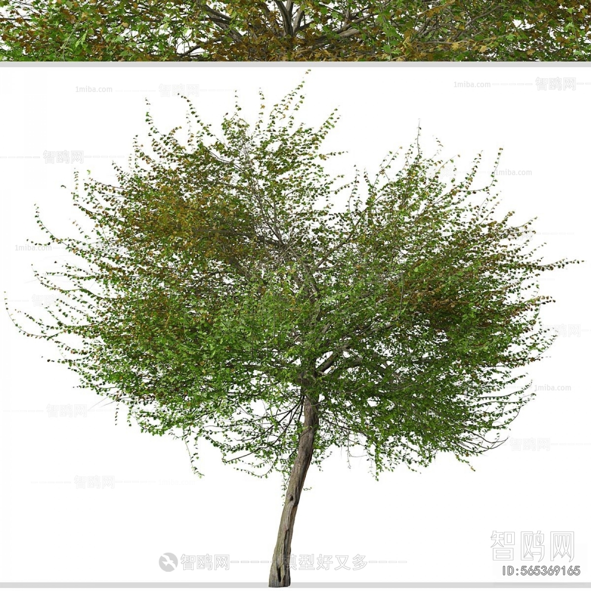 Modern Tree