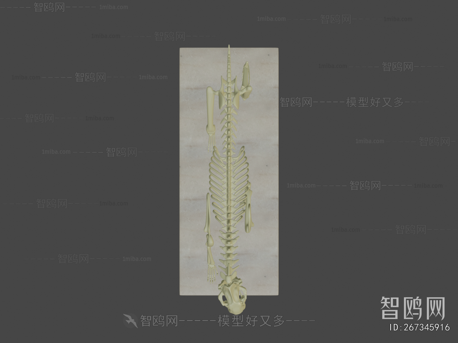 Modern Medical Equipment