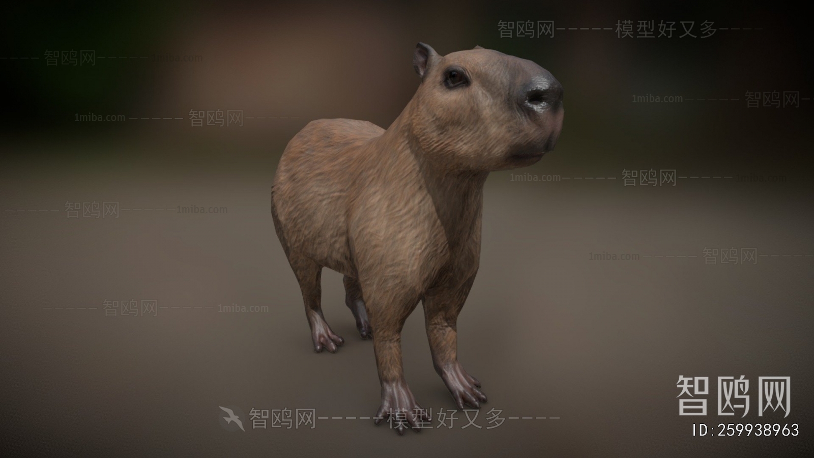 Modern Mammal