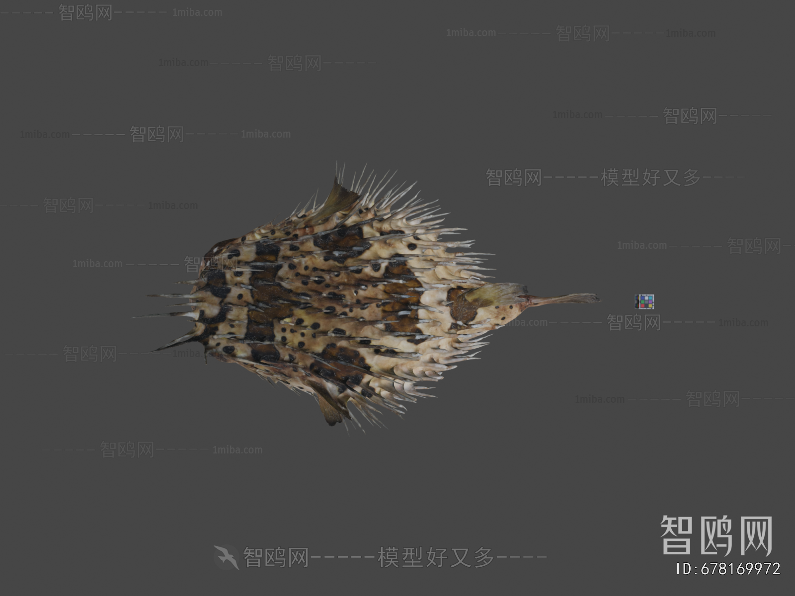 Modern Animal