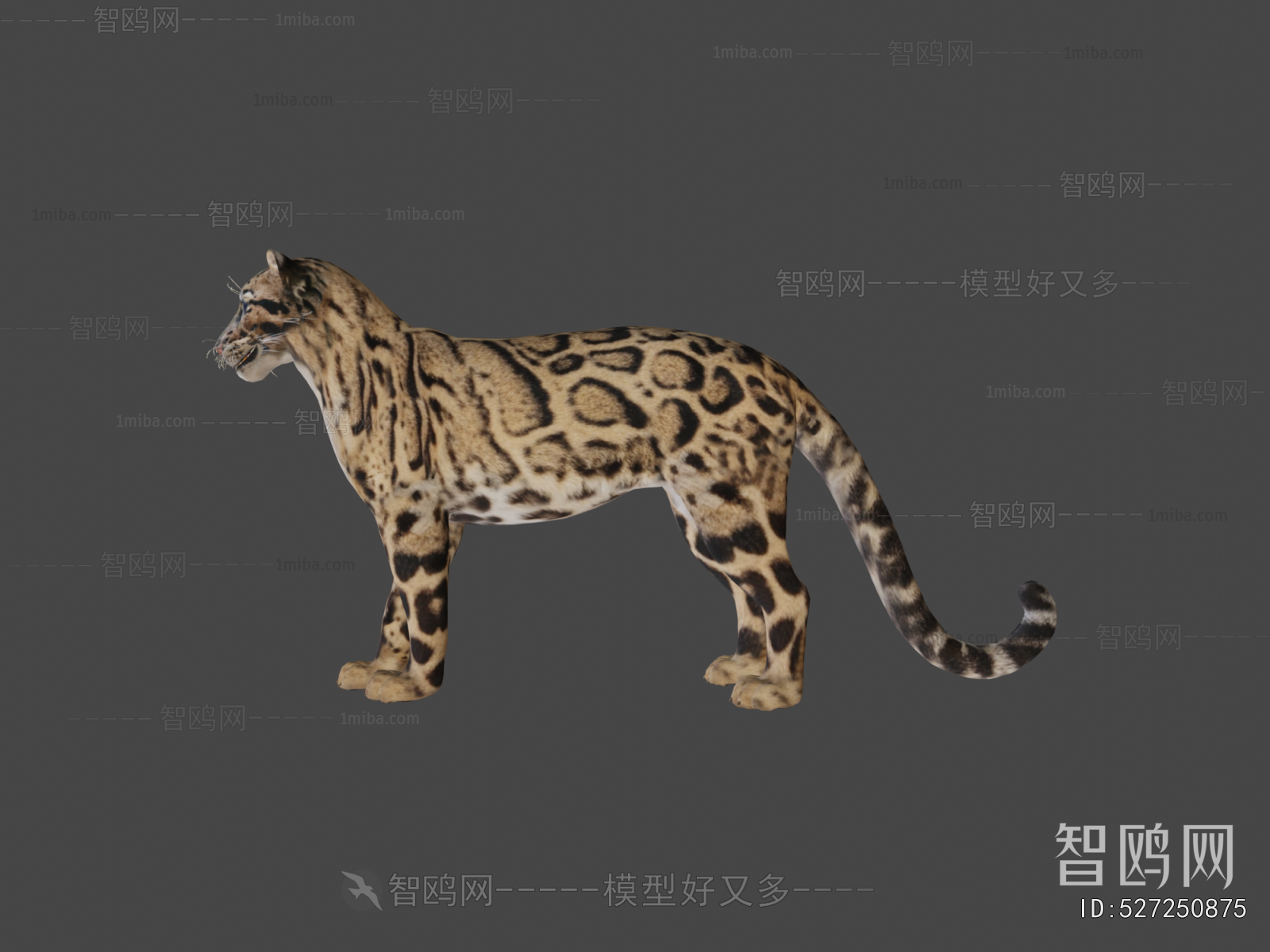 Modern Mammal