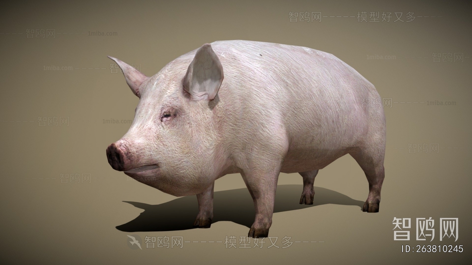 Modern Animal Pig