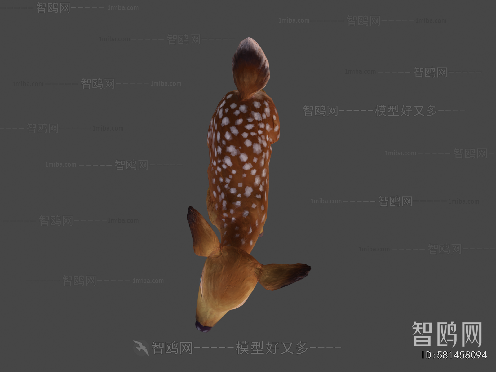 Modern Mammal