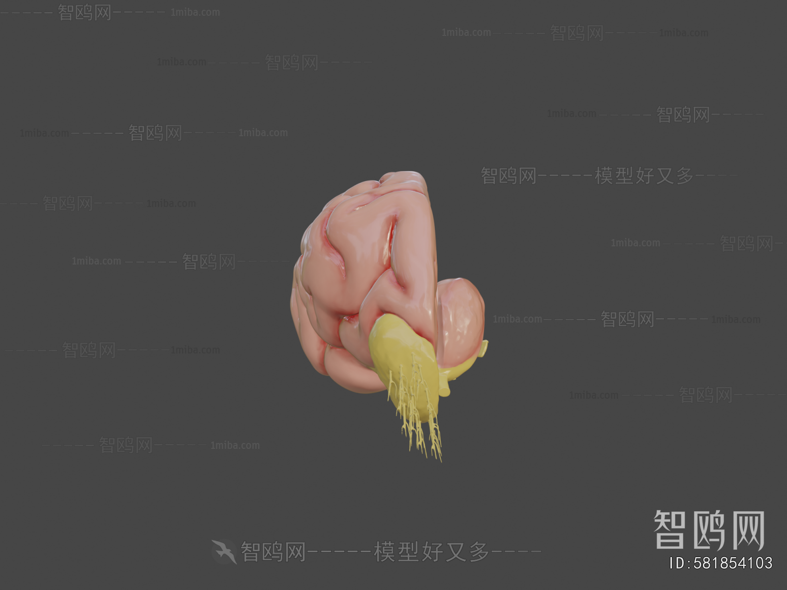 Modern Medical Equipment