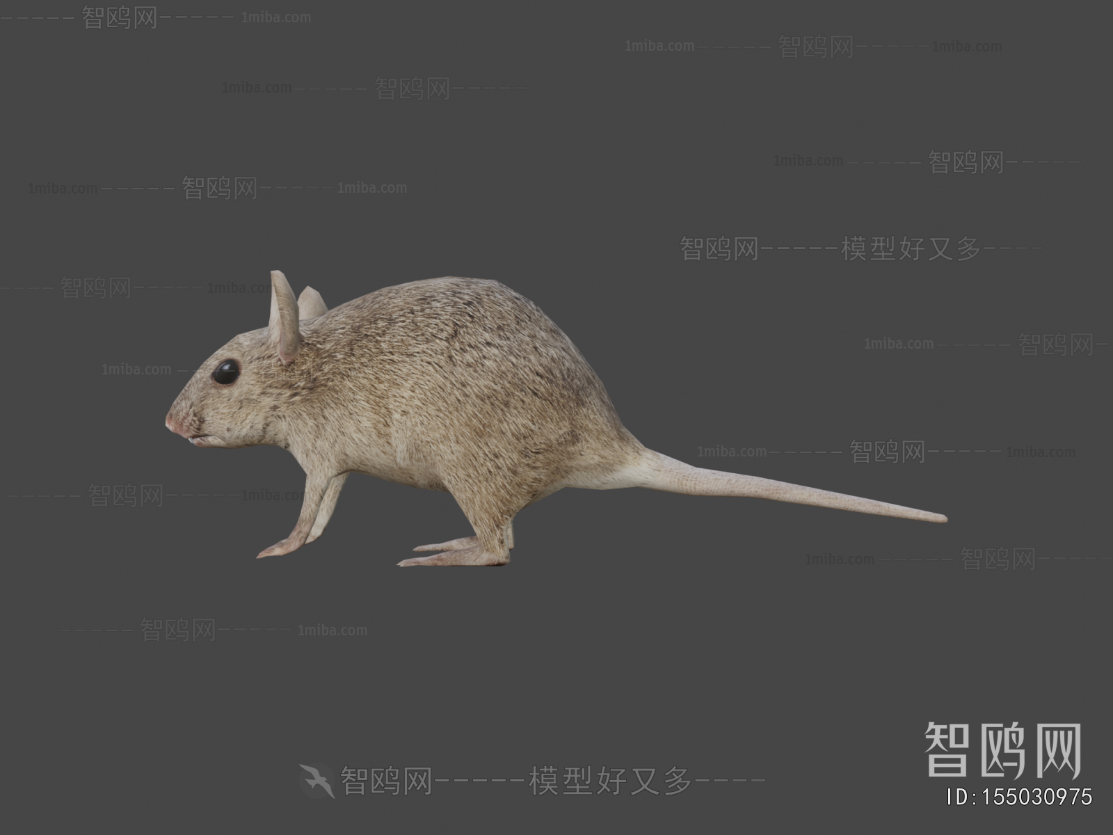 Modern Animal