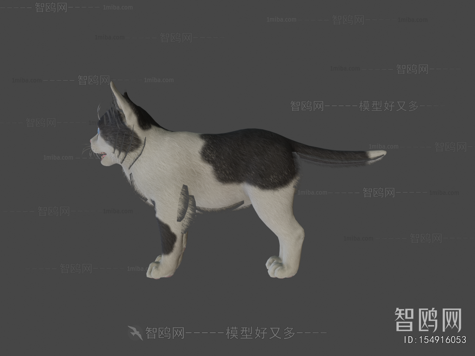 Modern Animal