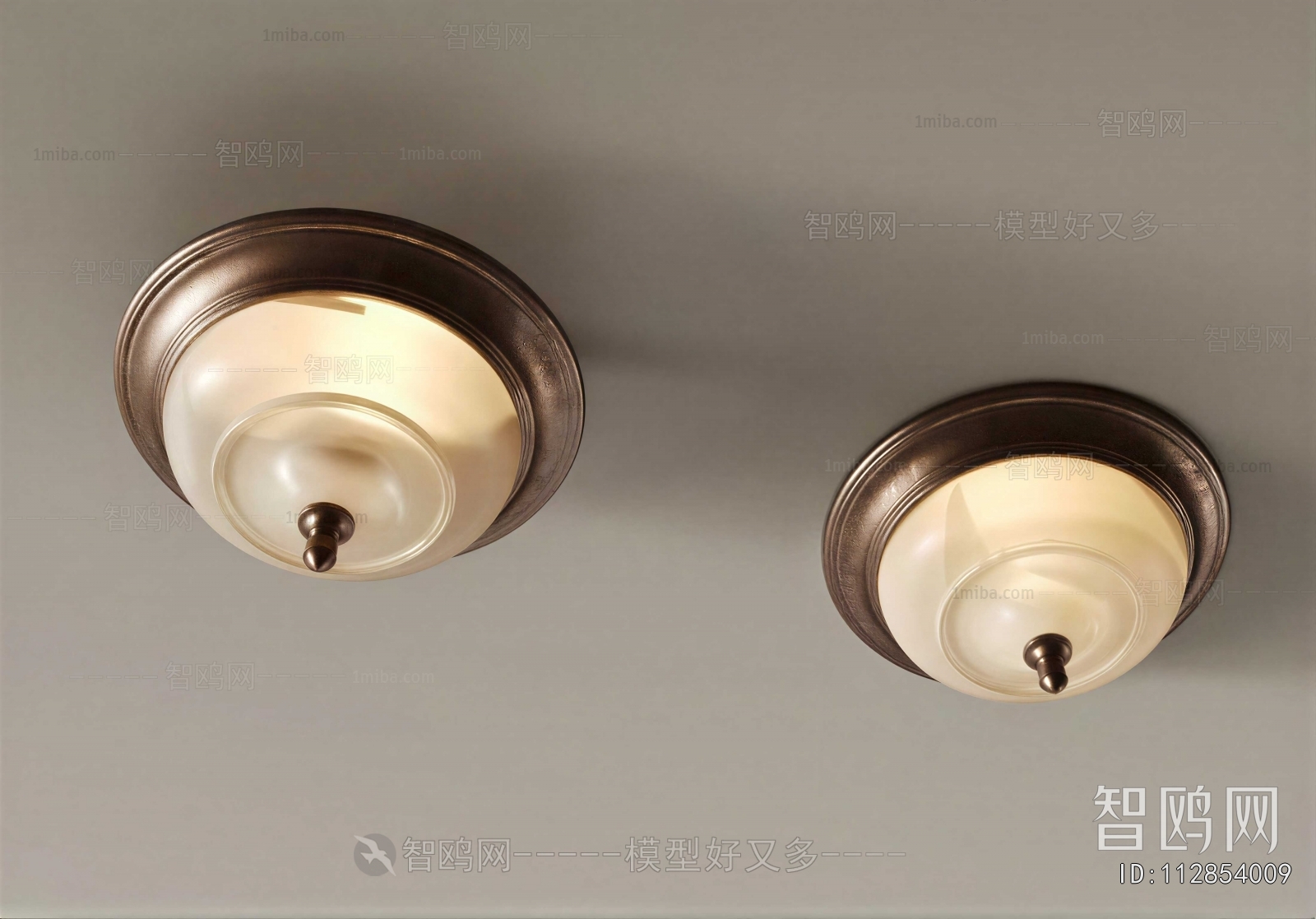 Modern Ceiling Ceiling Lamp