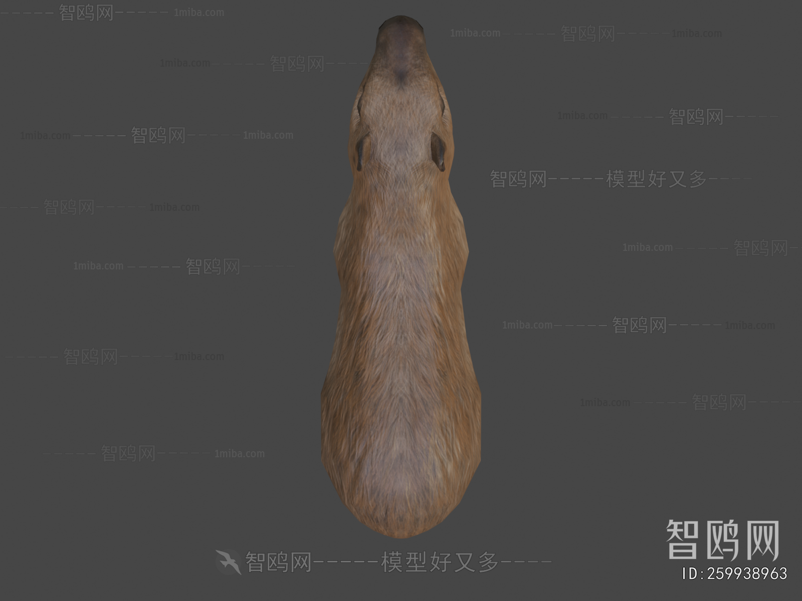 Modern Mammal