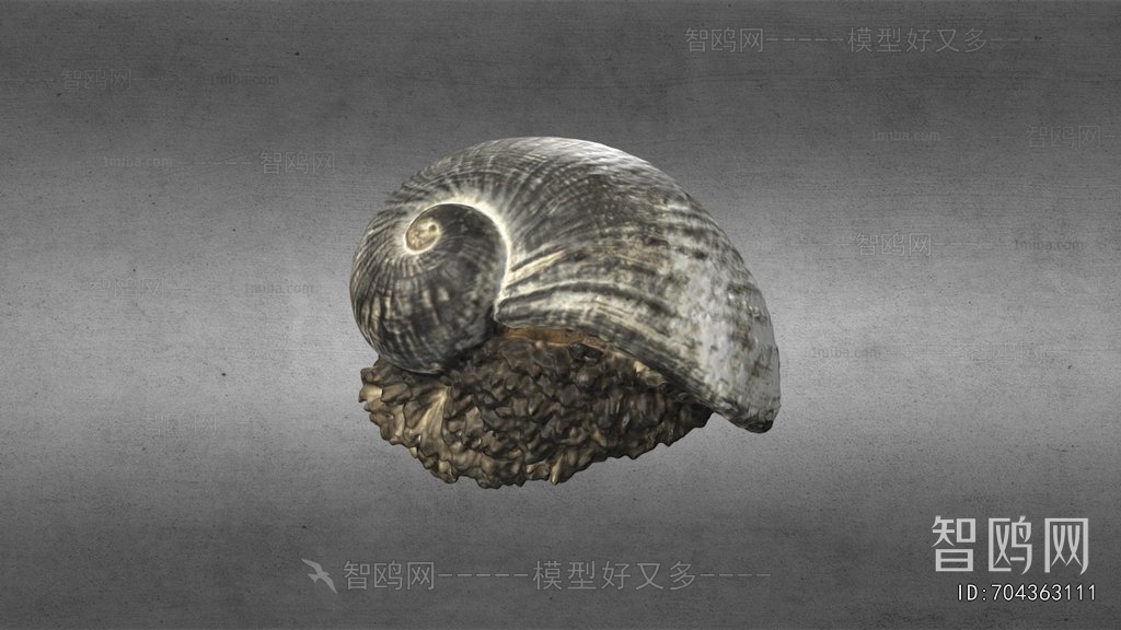 Modern Animal