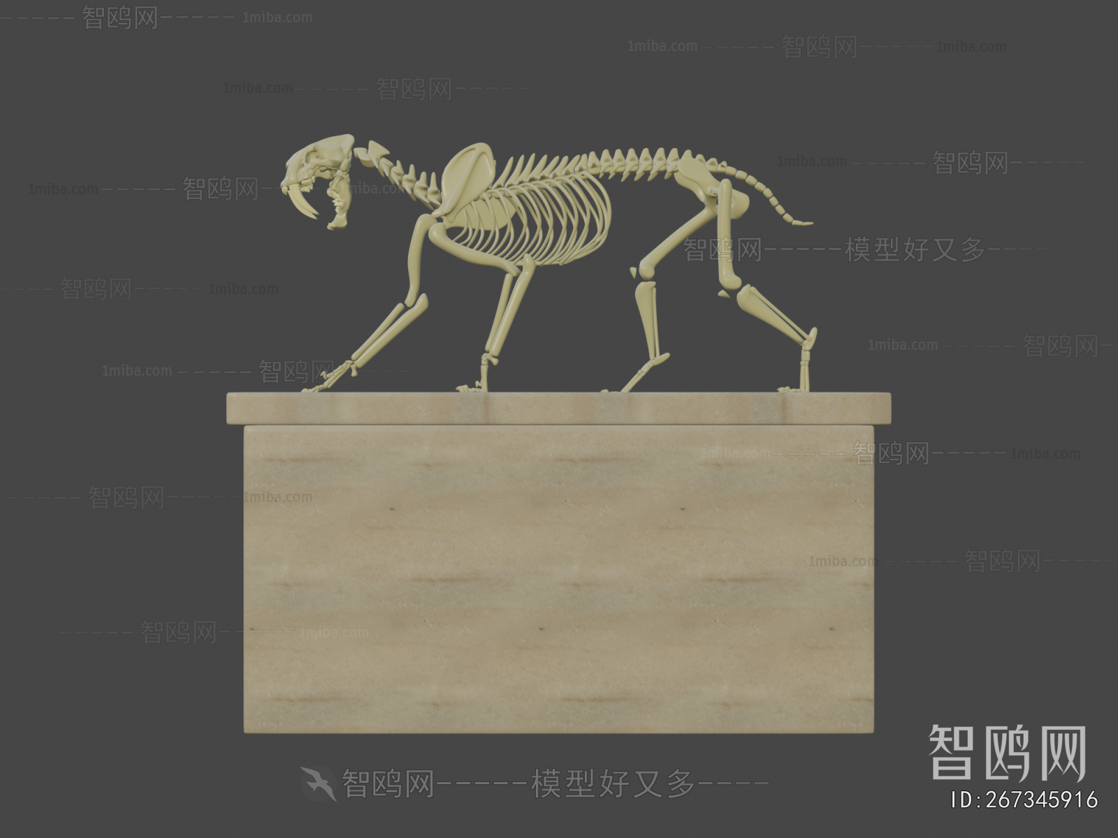 Modern Medical Equipment