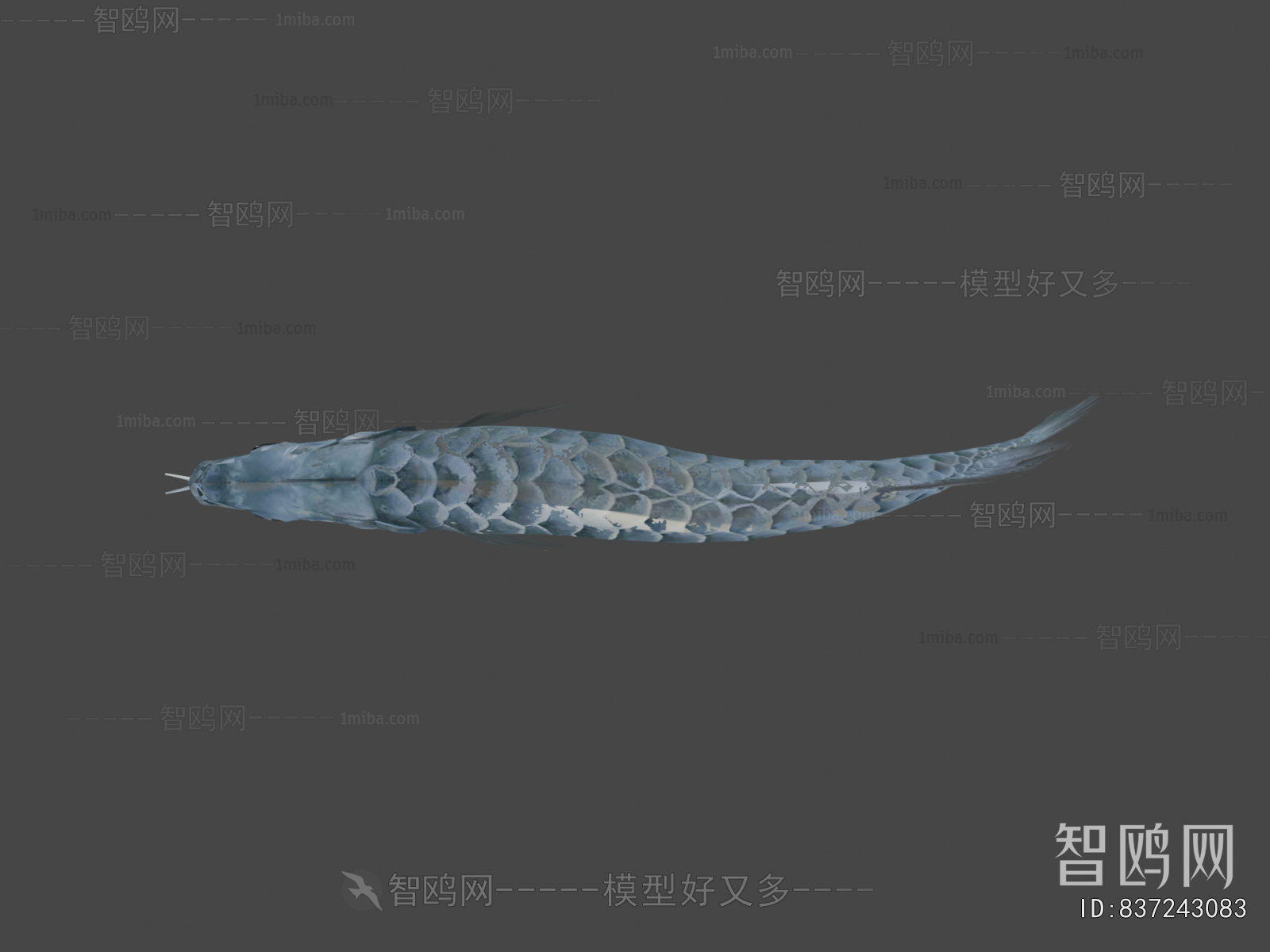 Modern Animal