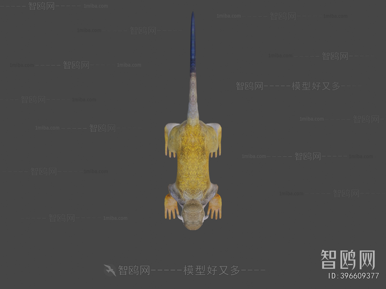 Modern Animal