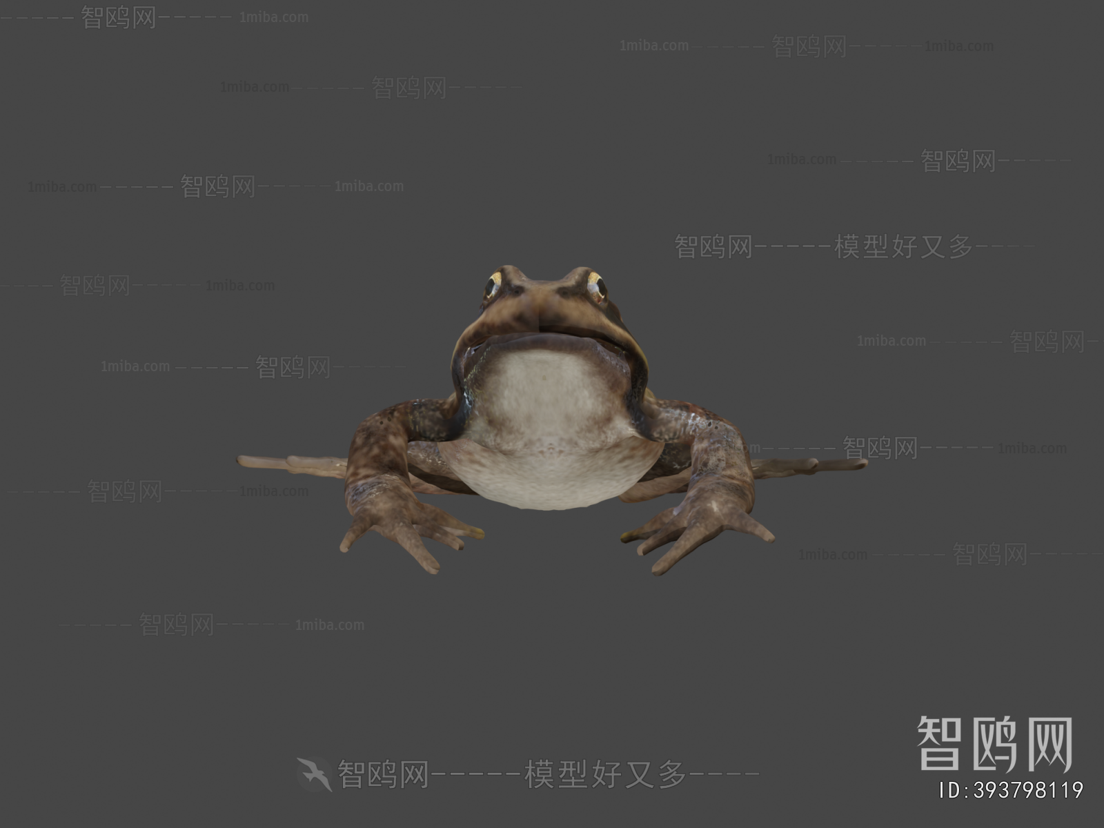 Modern Animal