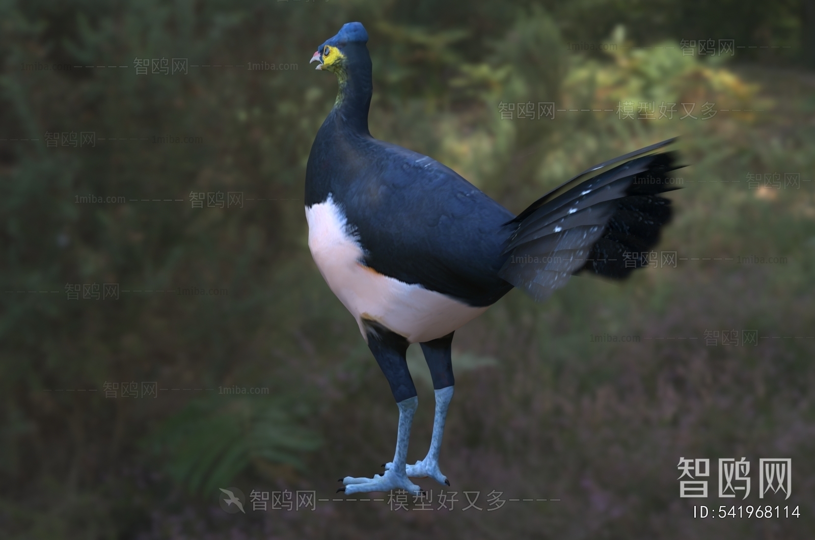 Modern Flying Animals