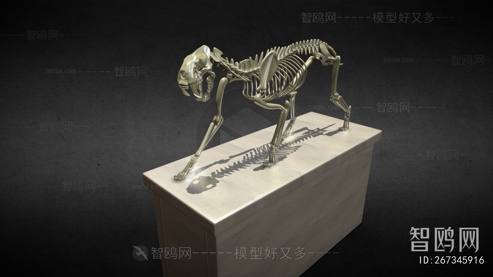 Modern Medical Equipment