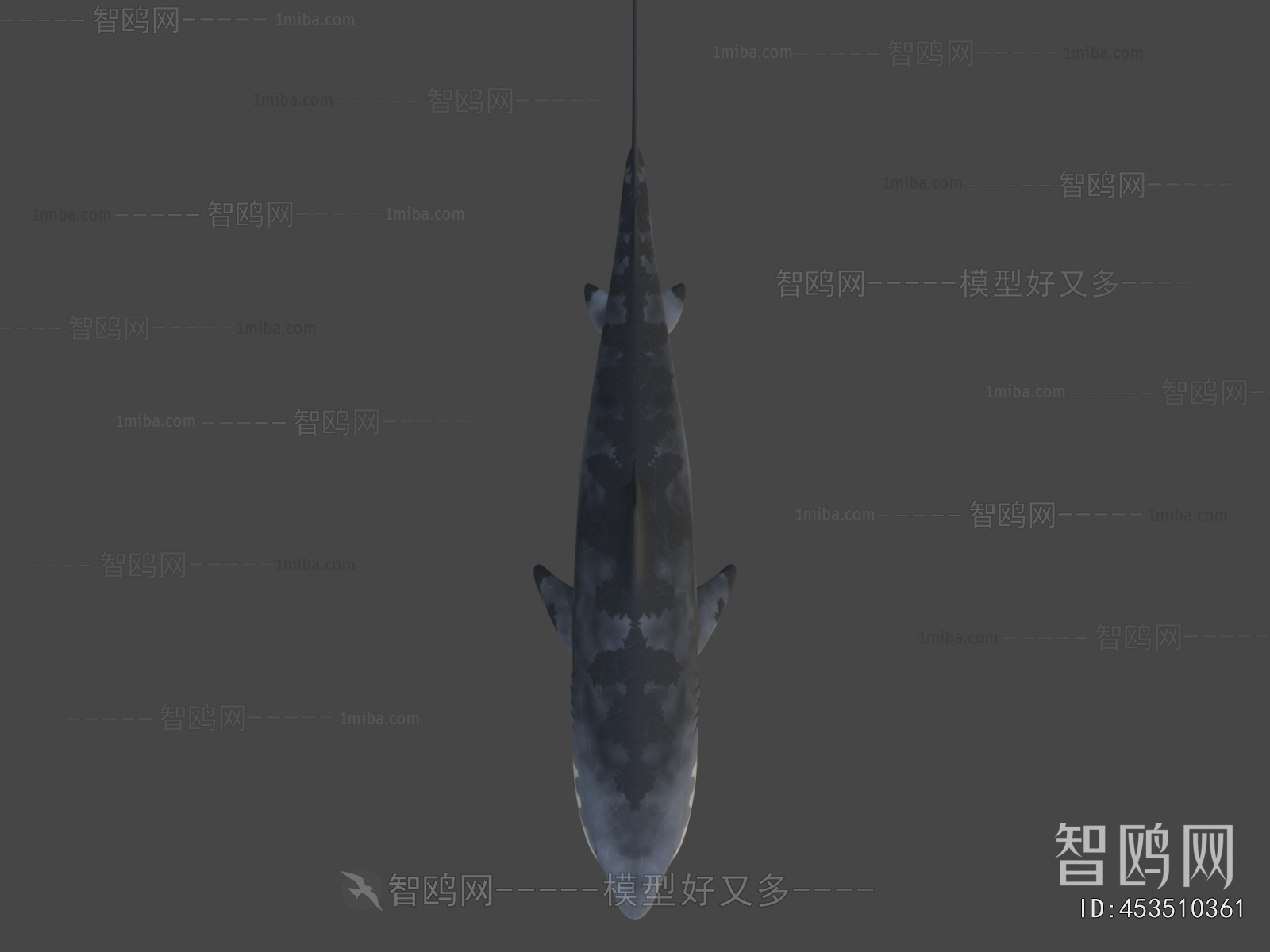 Modern Aquatic Animals
