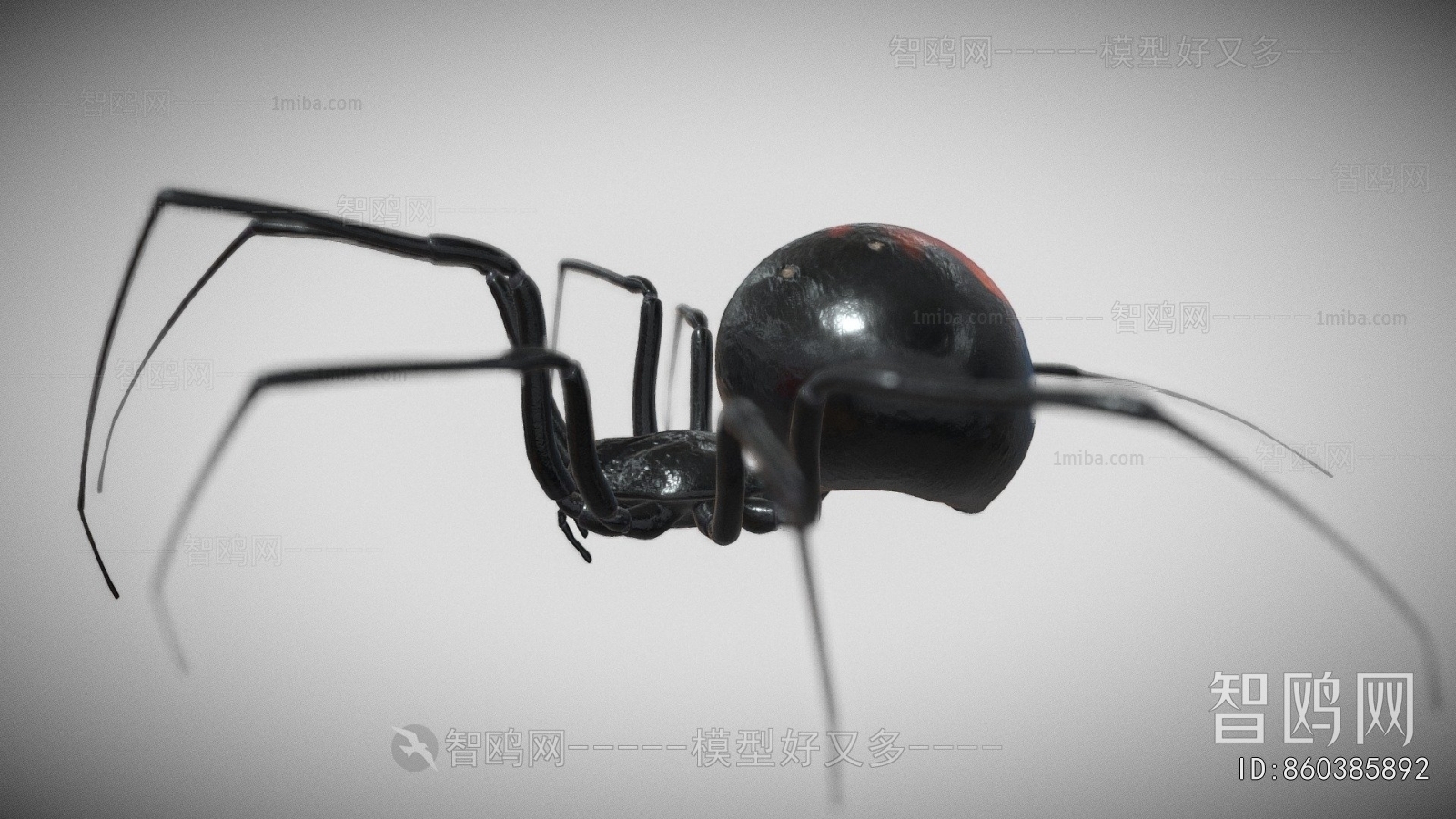 Modern Animal