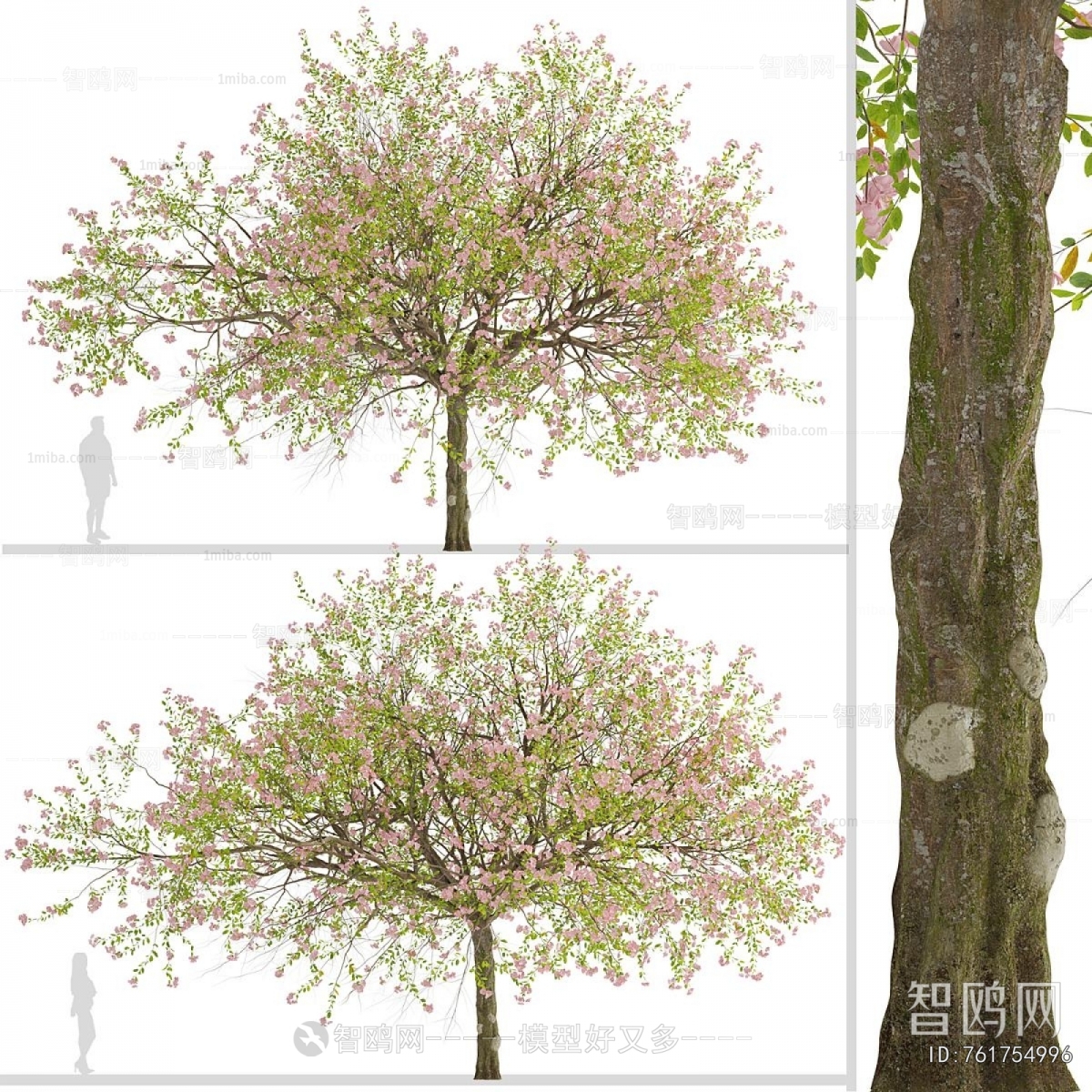 Modern Tree